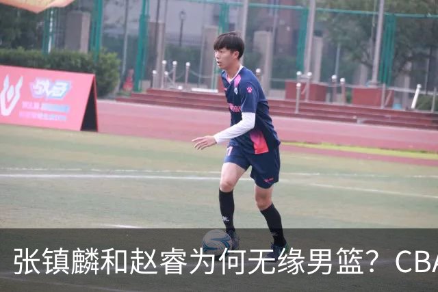 张镇麟和赵睿为何无缘男篮？CBA名记分析，道出2个原因