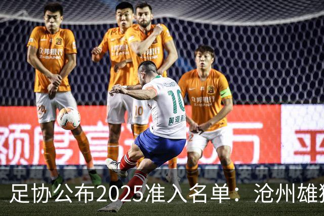 足协公布2025准入名单：沧州雄狮、广州队无缘