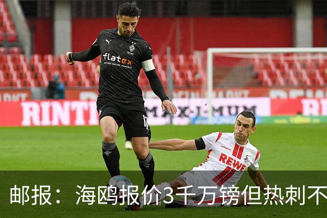 邮报：海鸥报价3千万镑但热刺不愿卖武什科维奇 巴萨国米拜仁关注